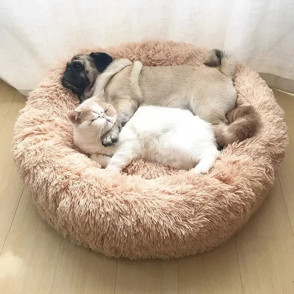 CloudNest Ultra Plush Cat Bed